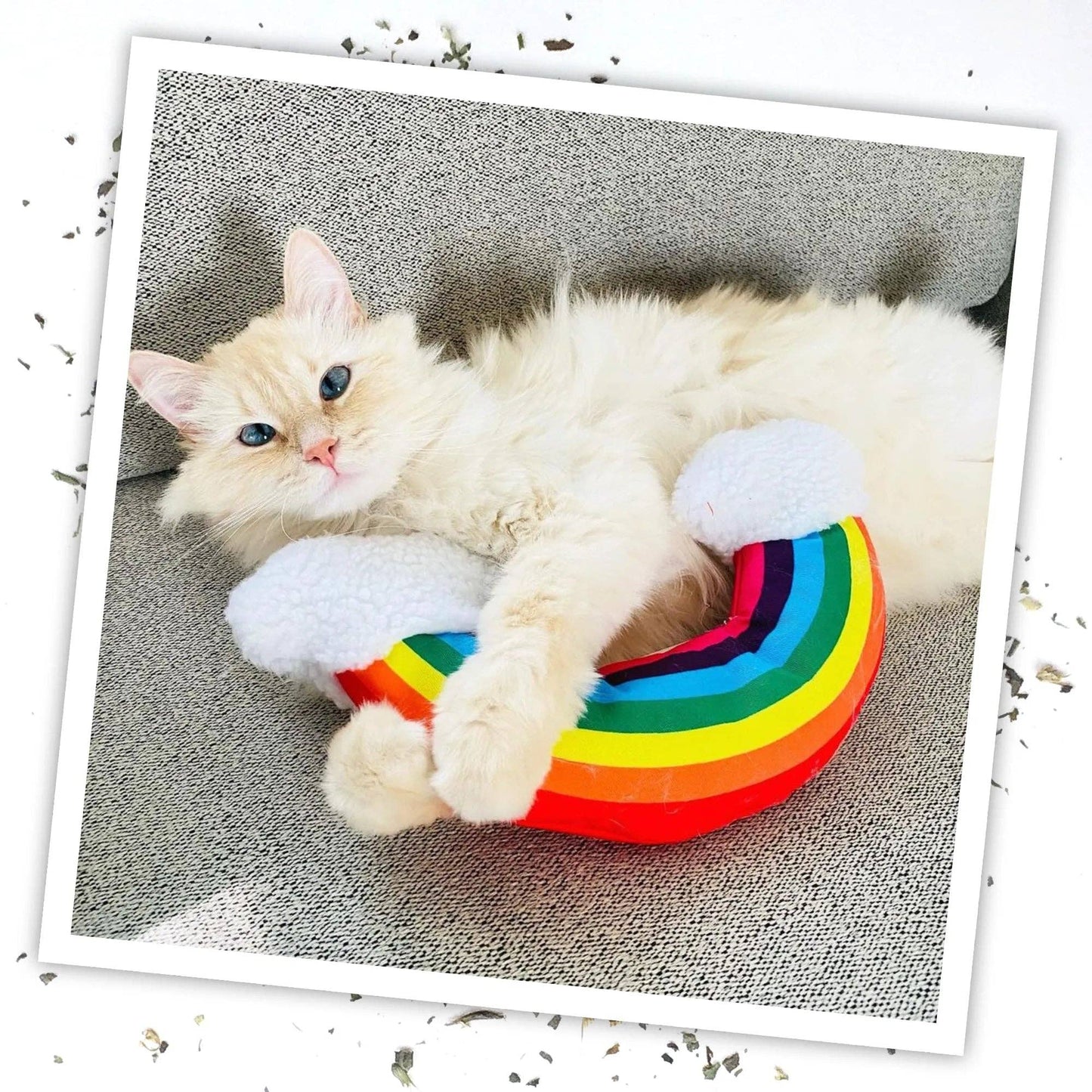 Meowijuana® Get Kickin' Rainbow Refillable Kicker Cat Toy