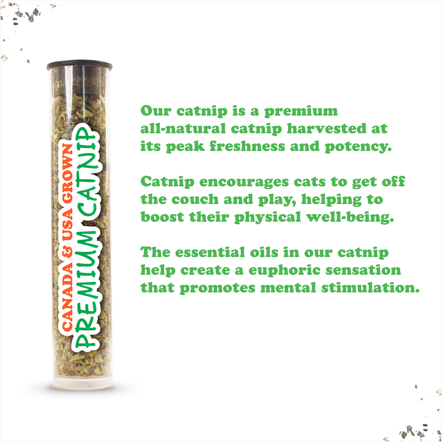 Get Sprung Marvelous Mushroom Refillable Catnip Cat Toy