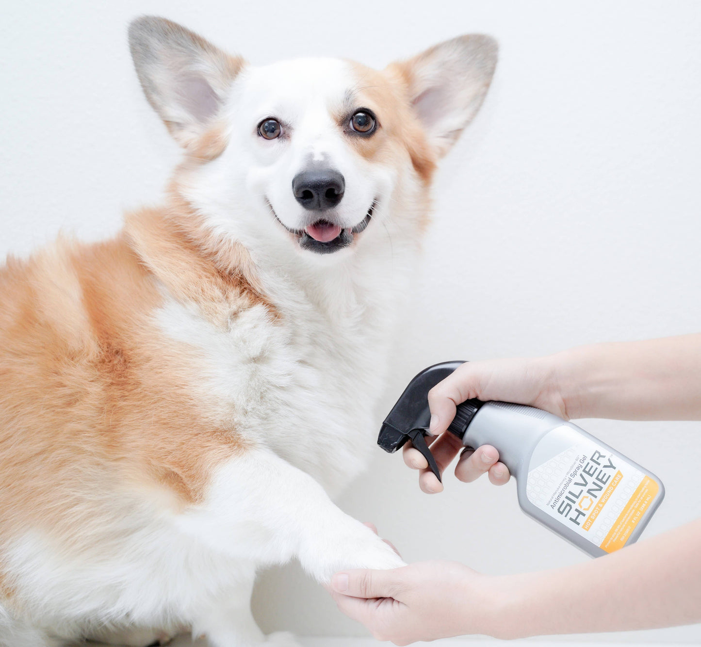 Absorbine Pet - Silver Honey Hot Spot & Wound Spray 8 fl oz