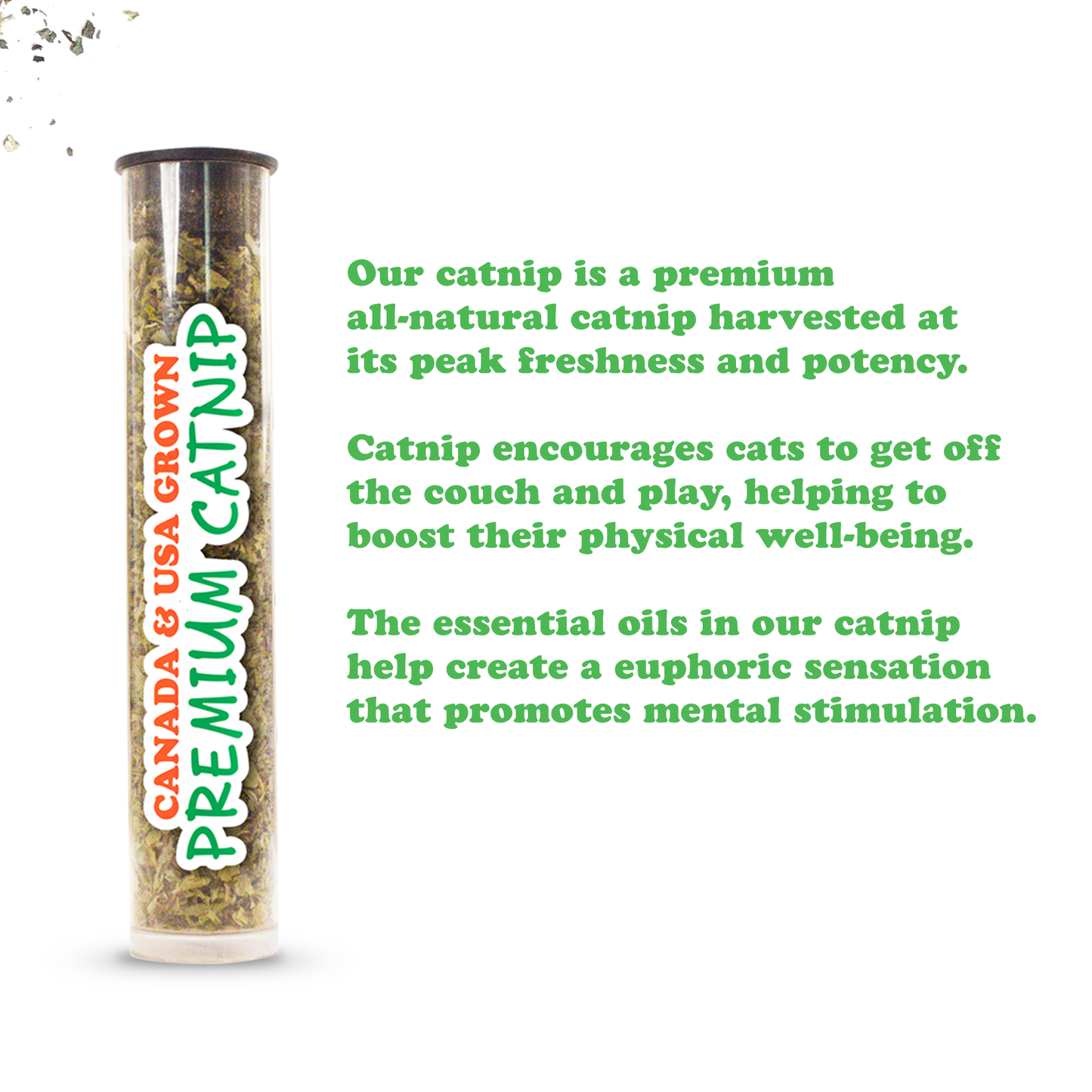 Get Smoked Rainbow Trout Refillable Catnip Cat Toy