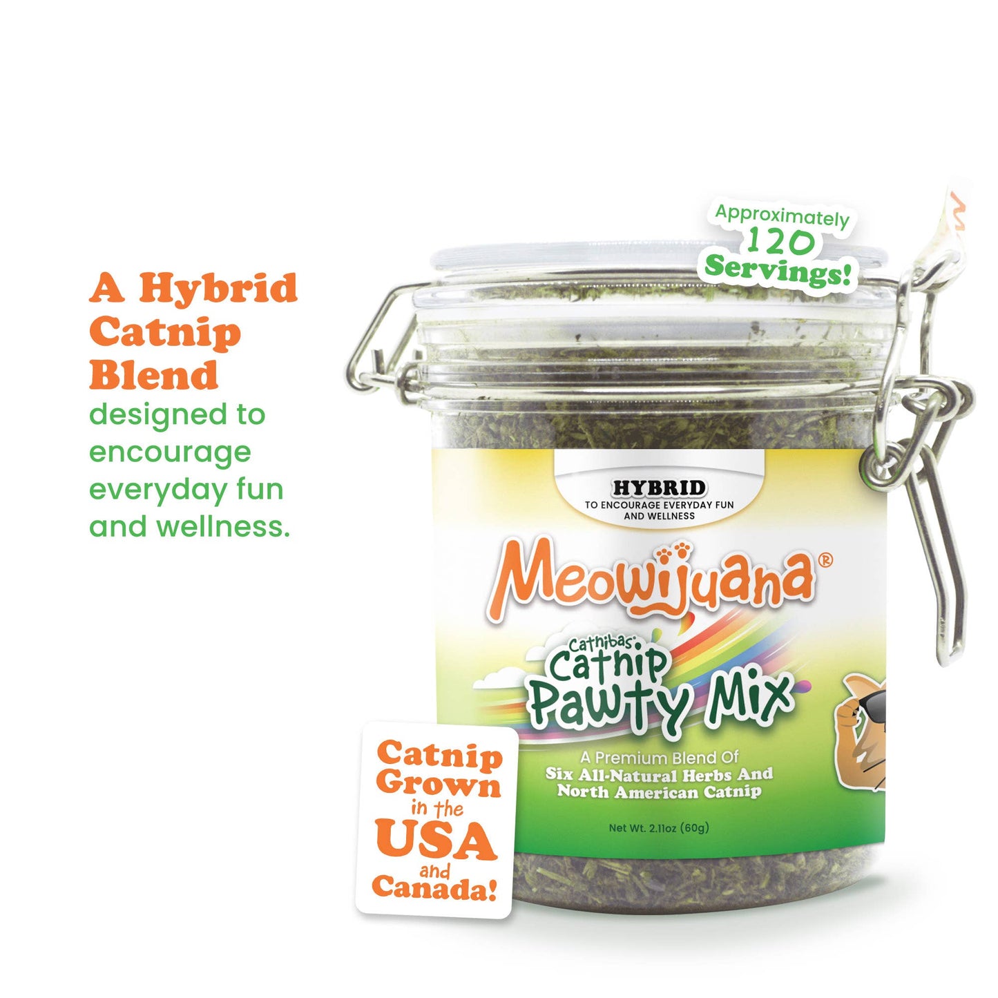 Catnip Pawty Mix