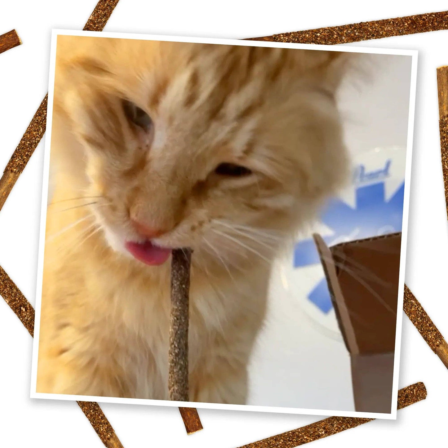 Meowijuana® Silvervine Fruit Sticks