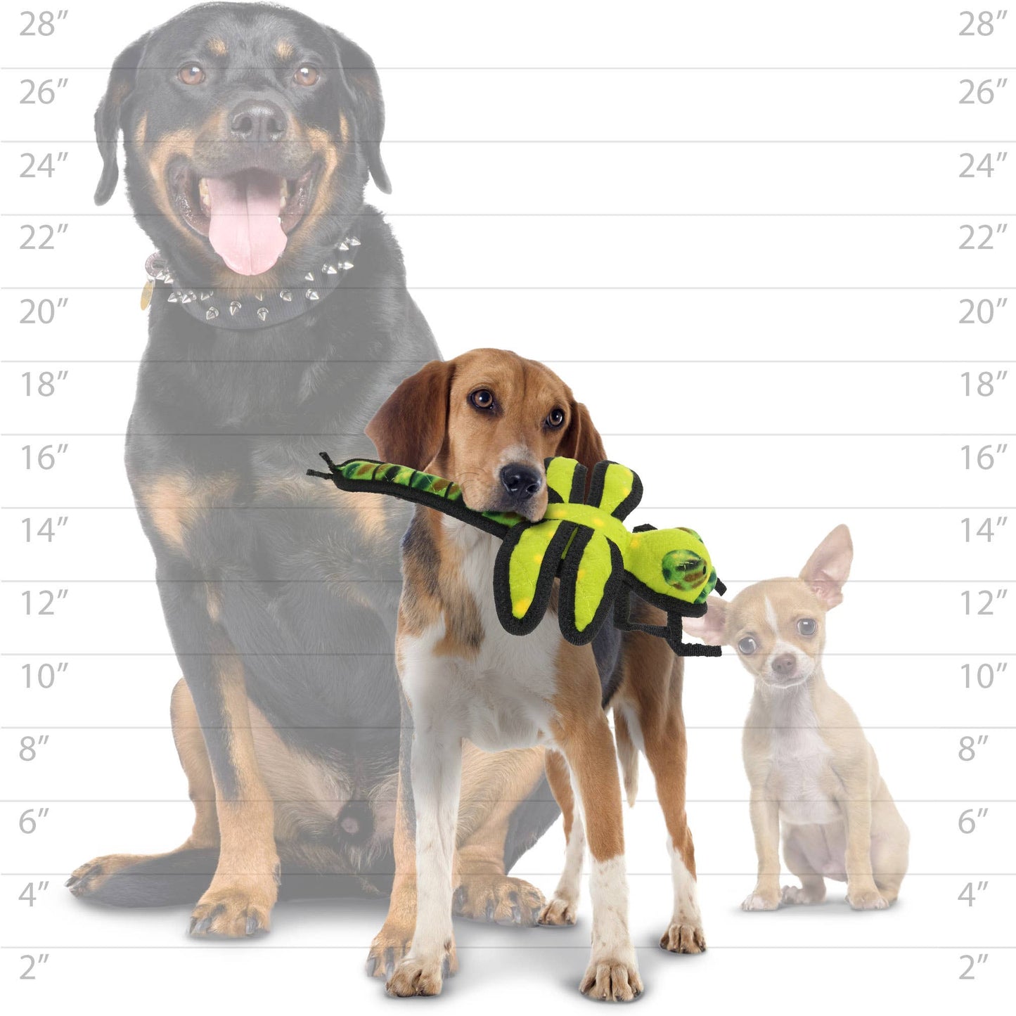 Tuffy Bug Dragonfly Green, Durable, Tough, Squeaky Dog Toy