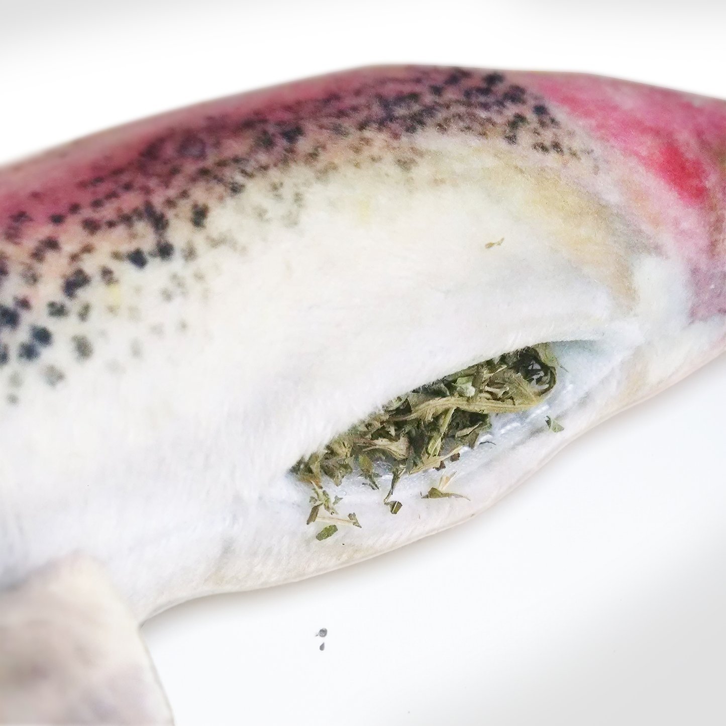 Get Smoked Rainbow Trout Refillable Catnip Cat Toy