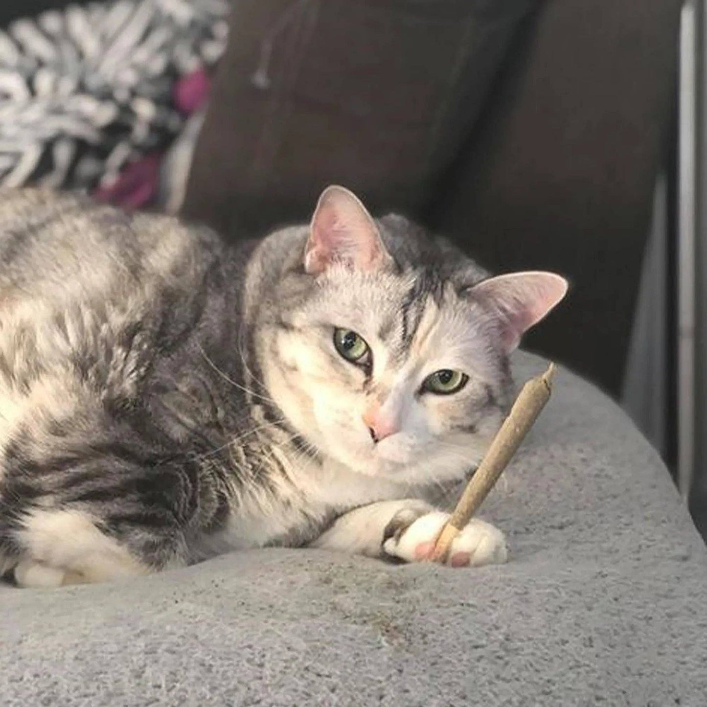 Meowijuana® Catnibas® King Size Rollies