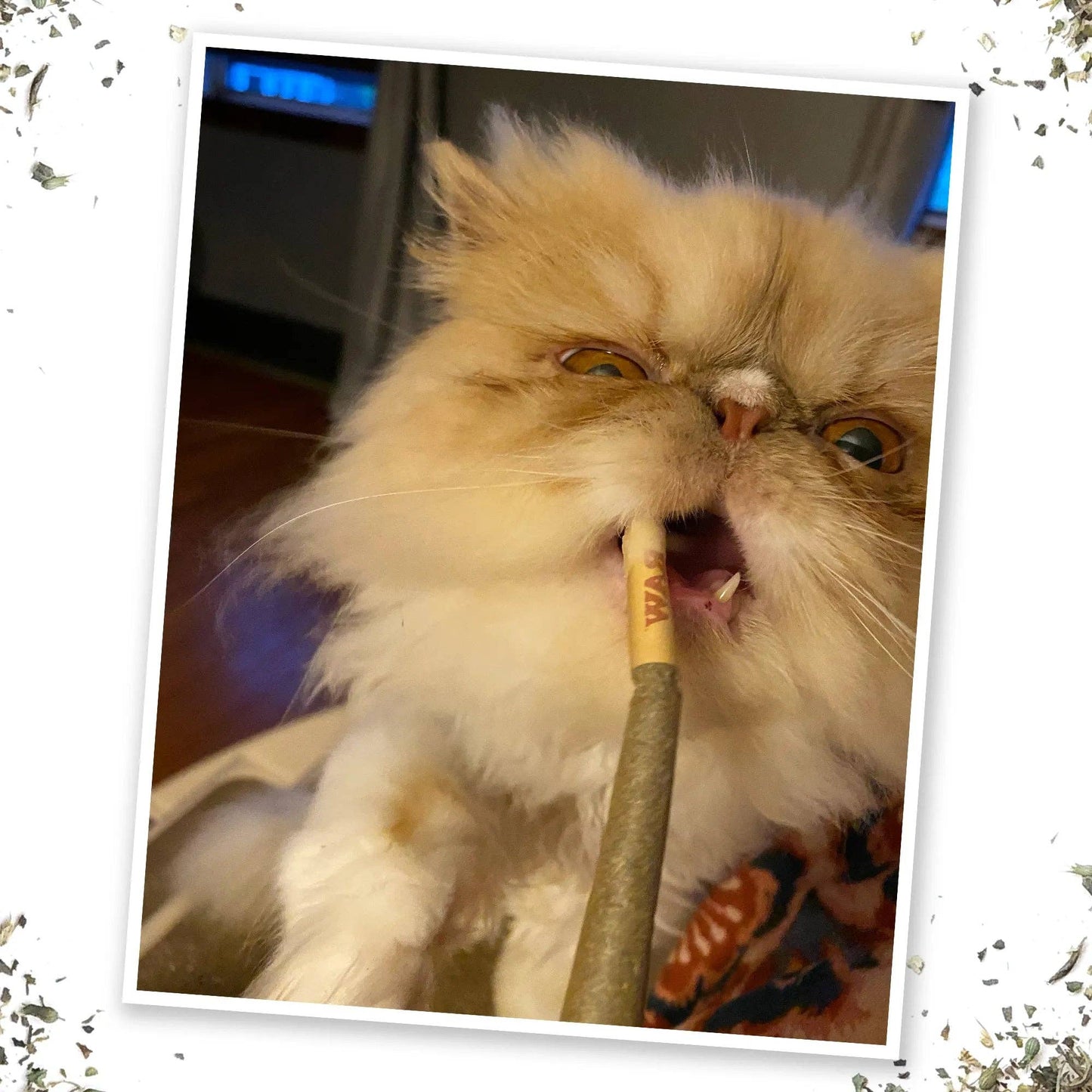 Meowijuana® Catnibas® King Size Rollies