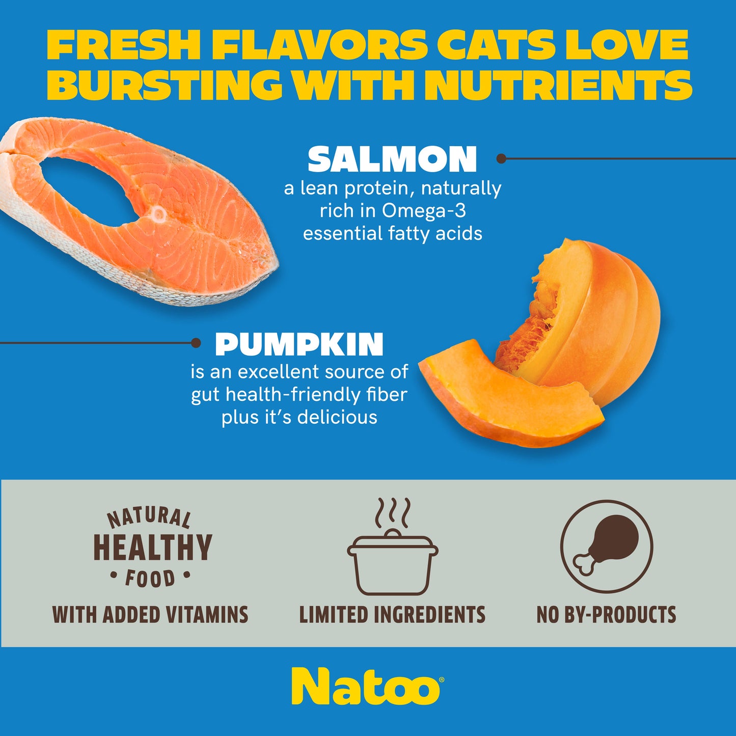 Natoo Topper for Cats - Salmon with Pumpkin