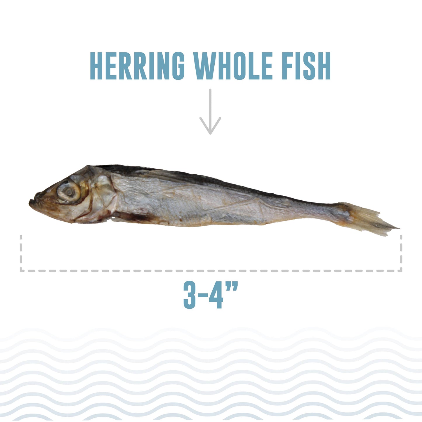 Icelandic+ Herring Whole Fish Cat Treats 1.5-oz Bag