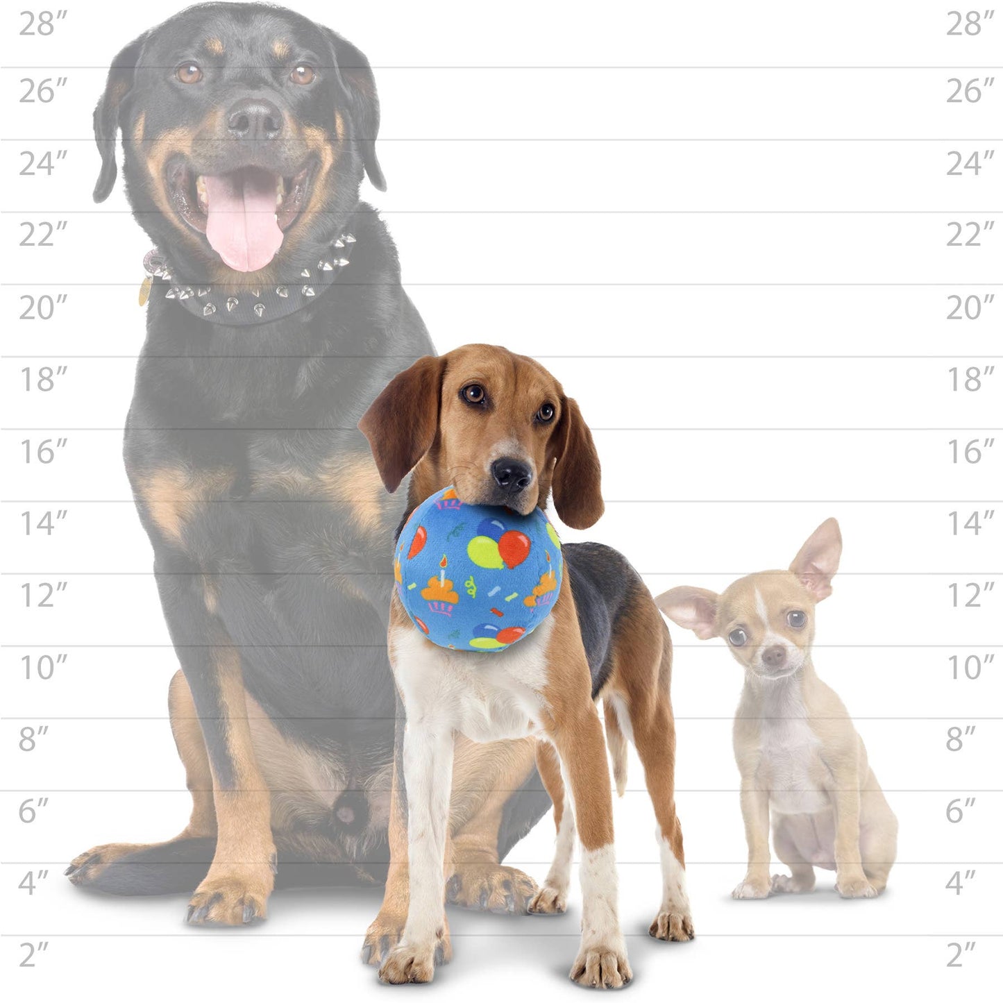 Mighty Ball-Medium Celebration Squeaky Dog Toy, No Stuffing