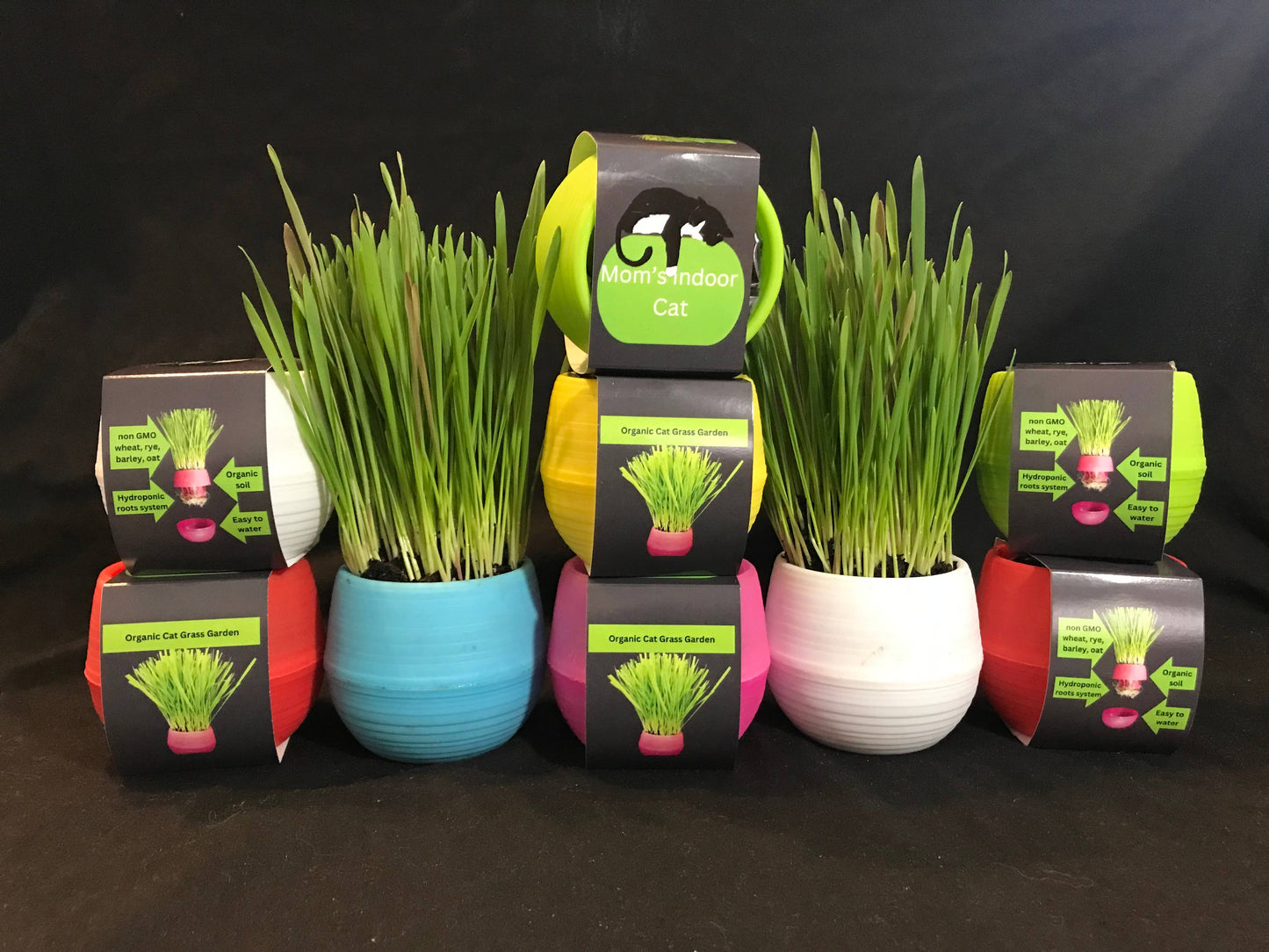 Cat Grass Garden Balls