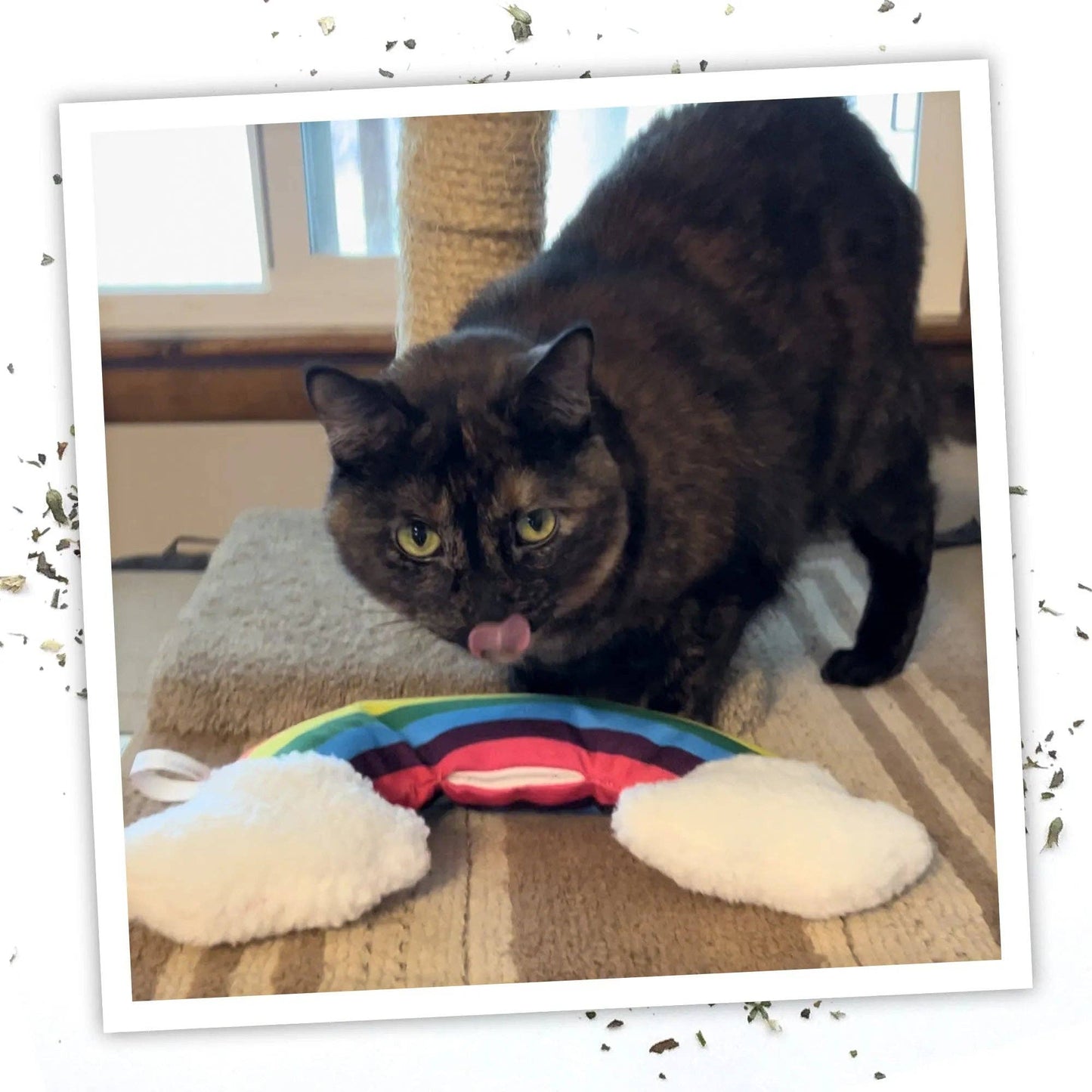 Meowijuana® Get Kickin' Rainbow Refillable Kicker Cat Toy