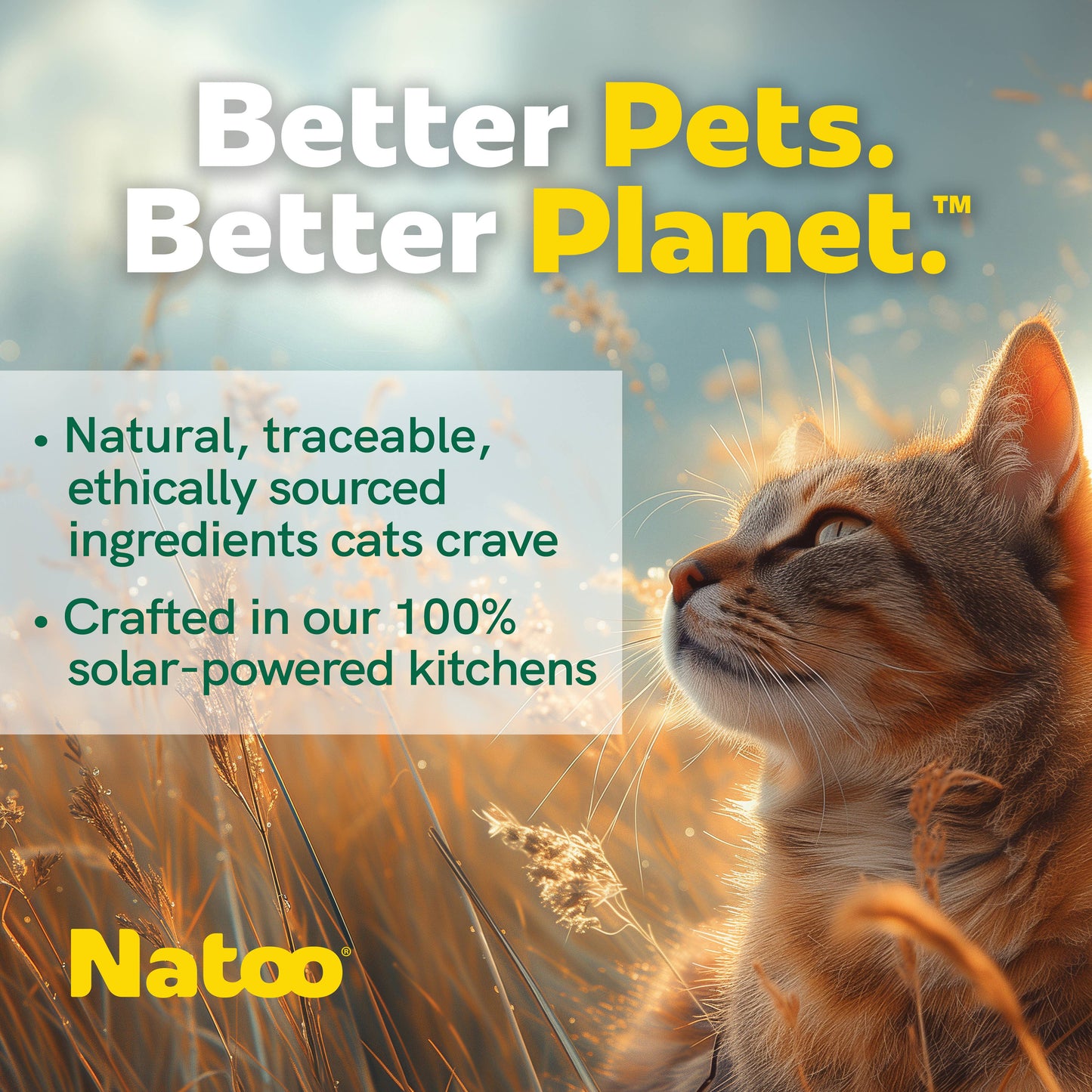 Natoo Topper for Cats - Salmon with Pumpkin