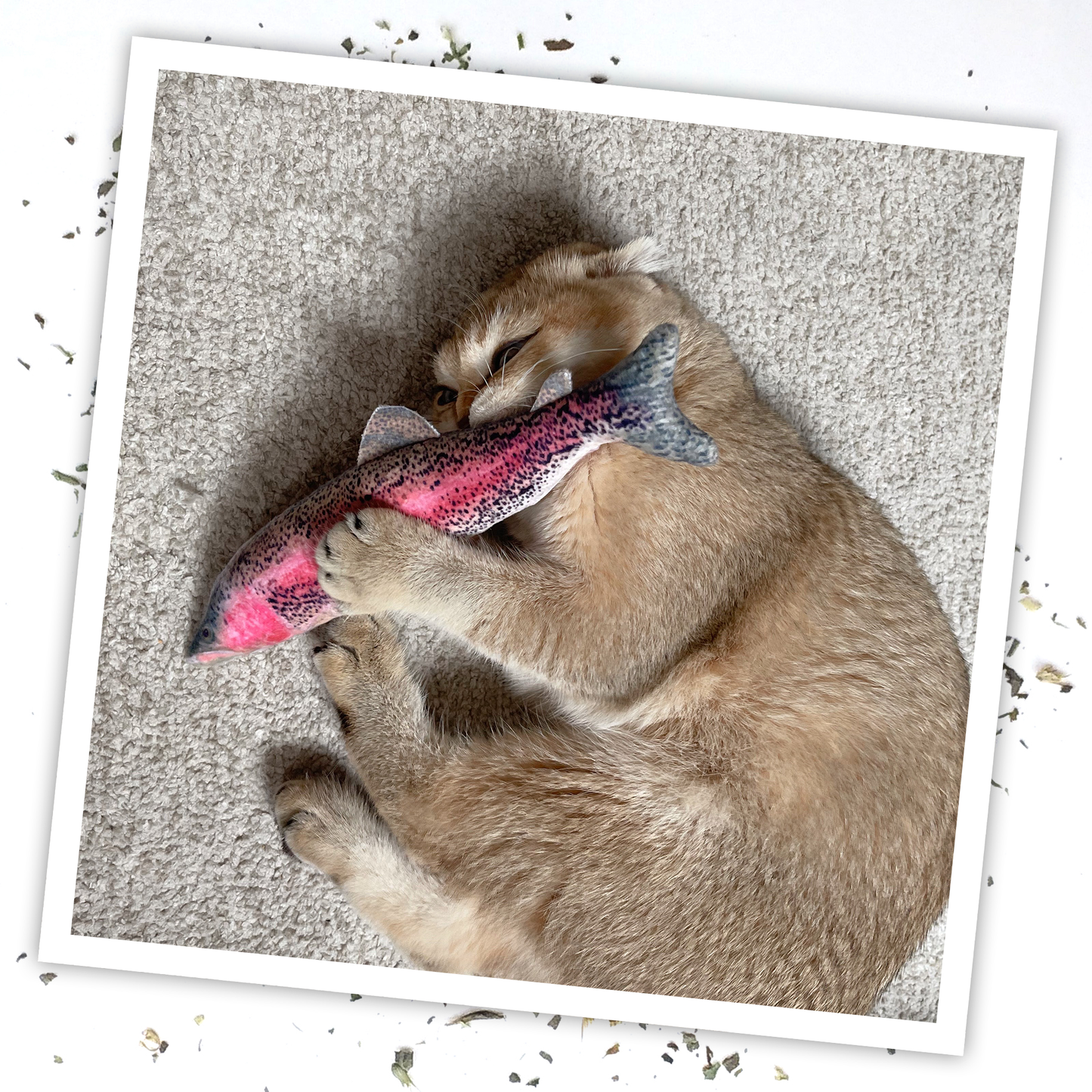 Get Smoked Rainbow Trout Refillable Catnip Cat Toy